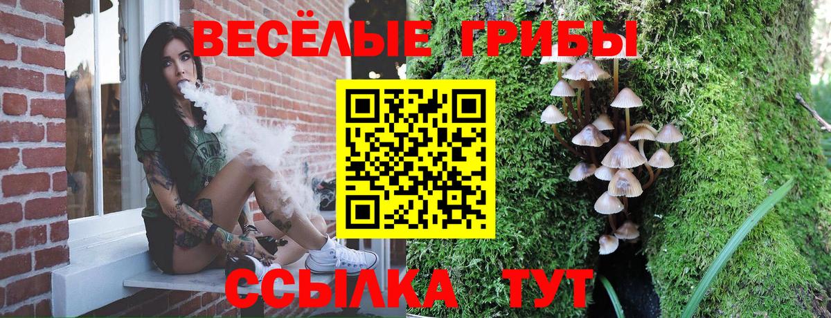 Галлюциногенные грибы GOLDEN TEACHER  Вход с VPN  Гагарин 