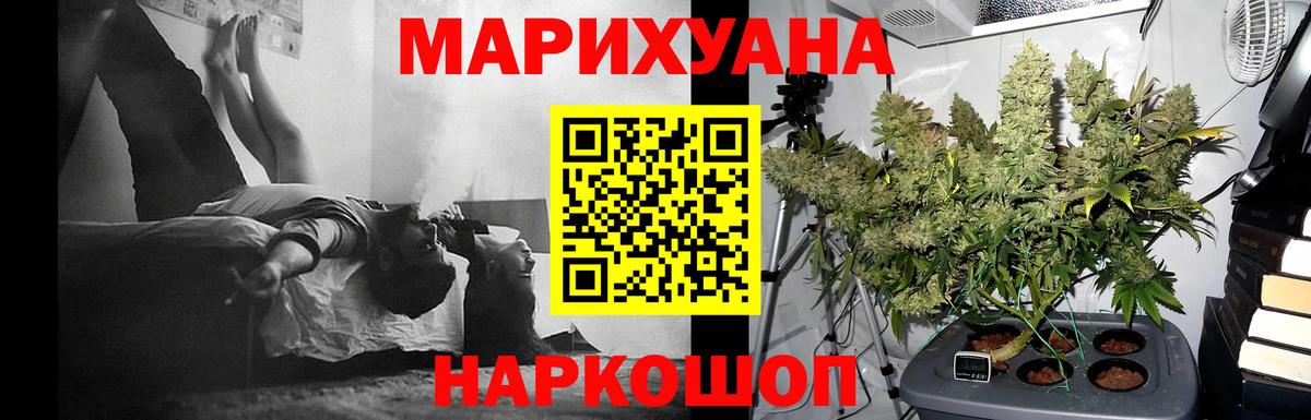 Каннабис индика Гагарин